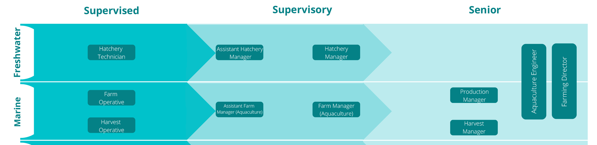 Swimlane image for Aquaculture